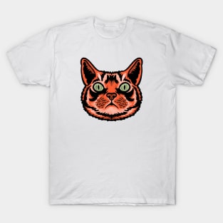 DOOF CAT T-Shirt